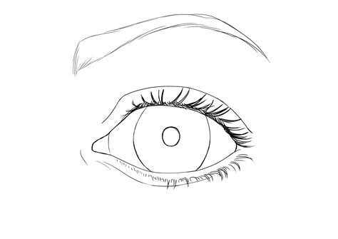 Comment Dessiner Un Oeil Réaliste Dessindigo