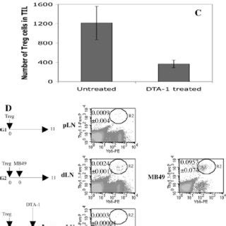 Nilotinib Inhibits The Proliferation Of Cd Cd T Cells And Cd Cd