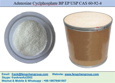 Adenosine Cyclphosphate Bp Ep Usp Cas Manufacturers And