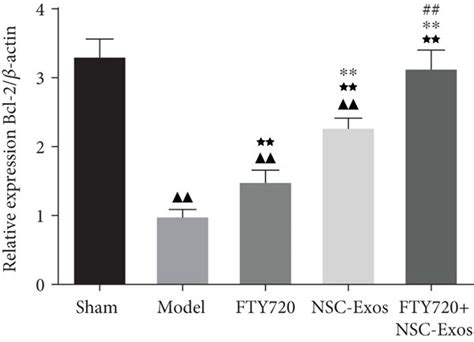 Ac The Expressions Of Apoptotic Related Proteins In Each Groups Were