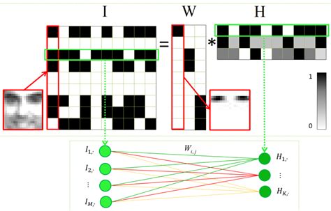 The Illustration Of Non Negative Matrix Factorization Nmf Model And