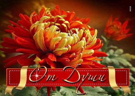 Картинки с Цветами | ТОП Картинки