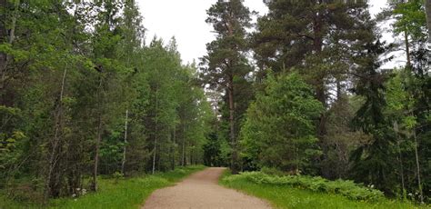 Haltiala nature trail is at the heart of Helsinki central park