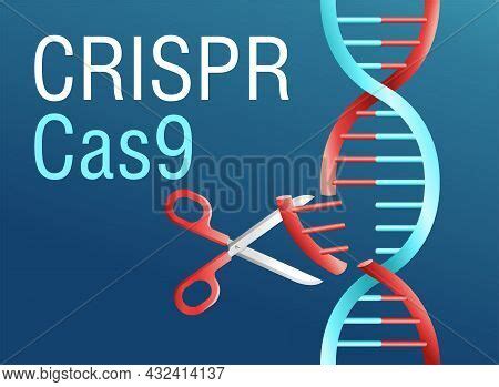 Crispr Cas9 Vector & Photo (Free Trial) | Bigstock