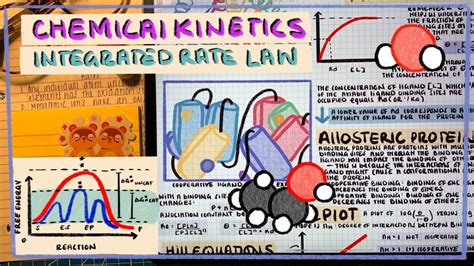 Kinetics Conceptualizing Integrated Rate Law First Second And Zeroth Order Examples And