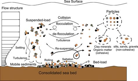 Sediment Transport Models Springerlink