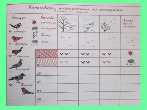 Шаблоны дневник наблюдений за птицами 28 фото