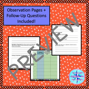 Grade 2 Science Alberta Hot And Cold Temperature Measuring Experiment