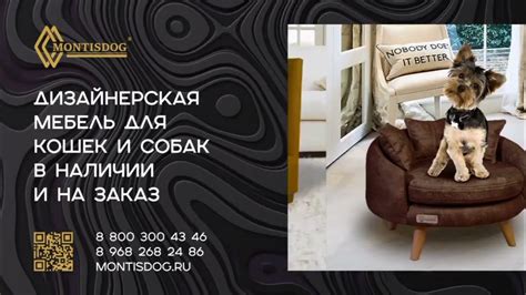 Лежанки - Диванчики для собак и кошек сделанные своими руками ...