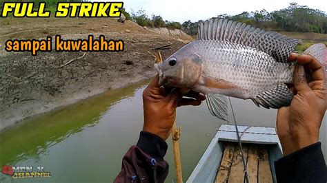 Ada Yang Panik Saat Saya Full Strike Ikan Nila Mancing Nila Liar