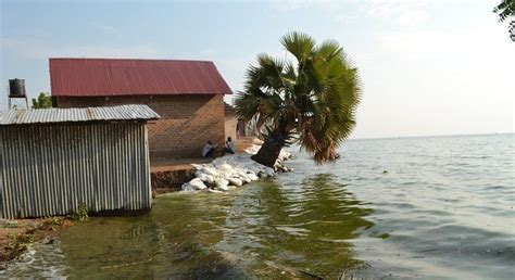 Economic Effects Of Lake Albert Flooding Devastating For Affected