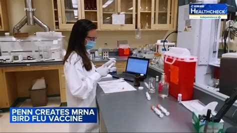 University of Pennsylvania creates human mRNA bird flu vaccine - 6abc ...