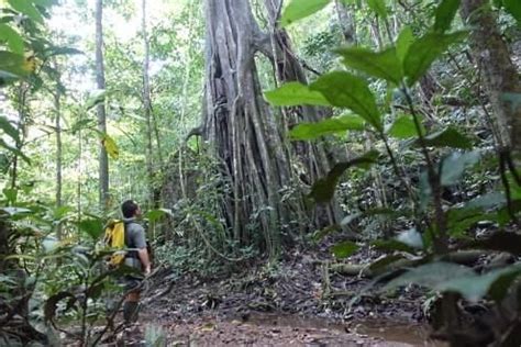 Trekking Caving Borneo Experience Travel Group