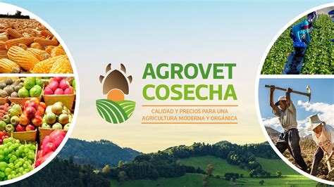 Nosotros Agrovet Cosecha