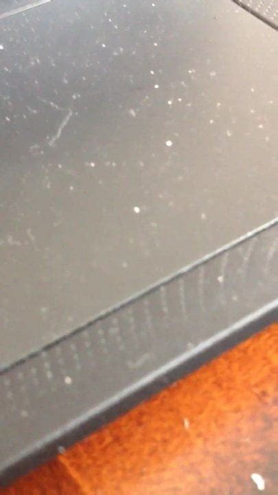 Head Blowjob Porn XHamster