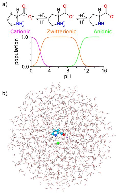 A Cationic Zwitterionic And Anionic Forms Of Proline Depending On