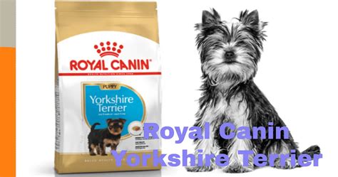 Royal Canin Yorkshire Terrier Ted Dog Mil