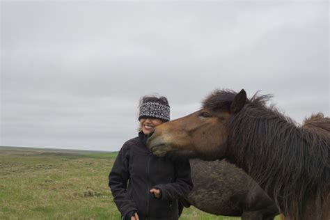 The Icelandic Horse Riding Experience — the snobby foodie