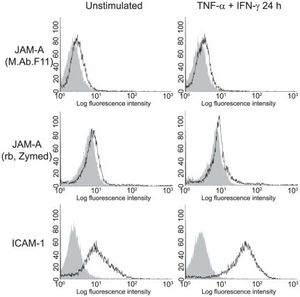 flow cytometric analysis  accutase dissociated single cell