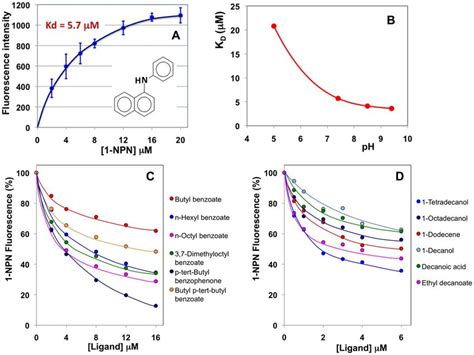 Binding Of 1 NPN And Selected Ligands To HarmOBP10 A Affinity Of