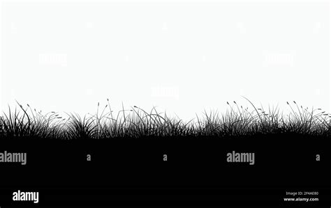 illustration of black color grass seamless silhouette on white ...