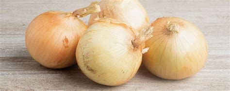 16 Tasty Shallot Substitute Options - Northern Yum