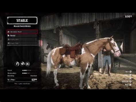 Red dead redemption 2: American paint horse location - YouTube