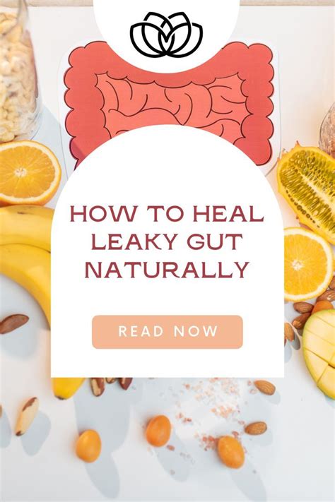 The Most Common Leaky Gut Symptoms And How To Heal Leaky Gut In 3 Steps Sassy Holistics