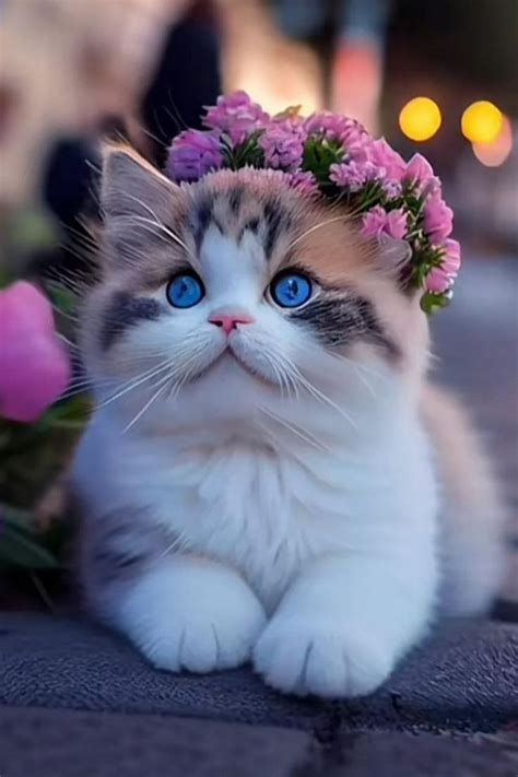 Cute Cat with Flowers