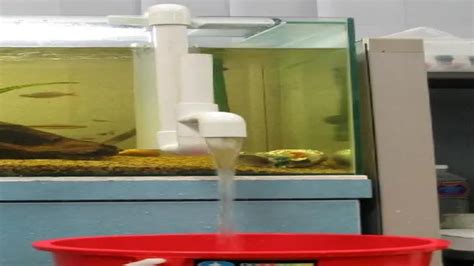 How To Build Overflow And Input For Aquarium Pvc A Step By Step Guide