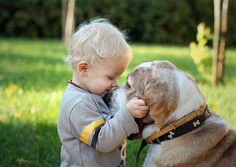 Fotos Provando Que Toda Crian A Precisa De Um Cachorro