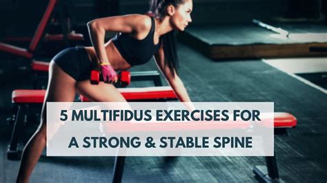 5 Multifidus Exercises for a Strong & Stable Lumbar Spine | PrecisionMovement.coach