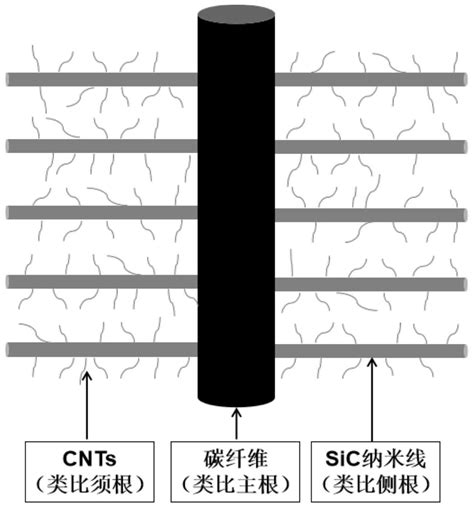 一种跨尺度增韧碳 碳复合材料及其制备方法