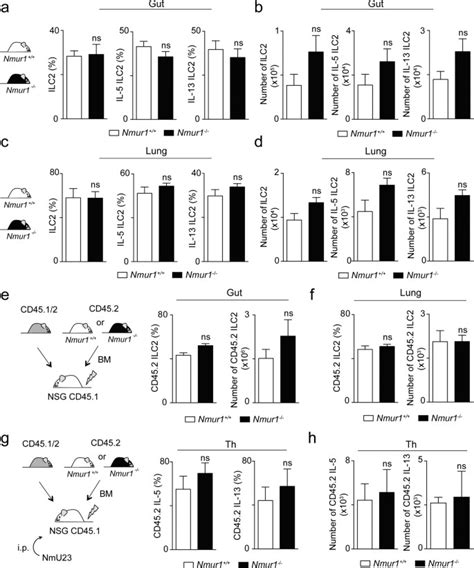 Neuronal Regulation Of Type 2 Innate Lymphoid Cells Via Neuromedin U