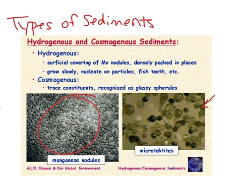 Sediment Types