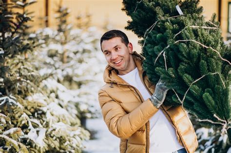 Gut Aussehender Mann Der Einen Weihnachtsbaum In Einem Gew Chshaus