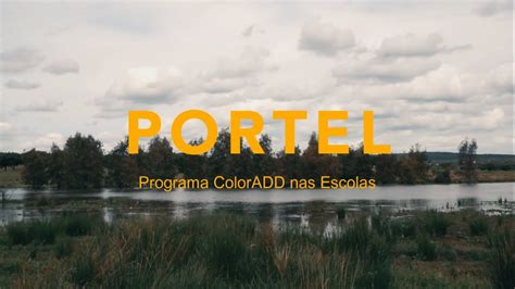 Portel Programa Coloradd Nas Escolas Youtube