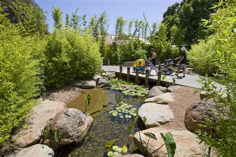 Adelaide Zoo Giant Panda Forest / Hassell | ArchDaily