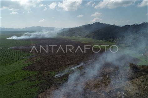 Kebakaran Lahan Gambut Di Kolaka Timur Antara Foto