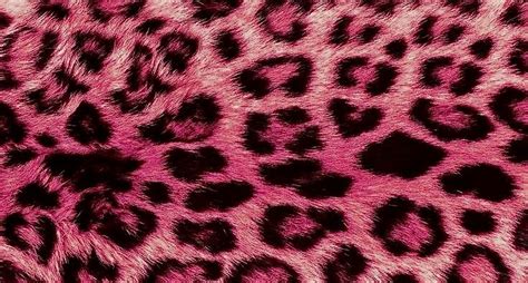 Pink and Black Animal Print Wallpaper