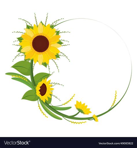 Colored sunflower border flower Royalty Free Vector Image