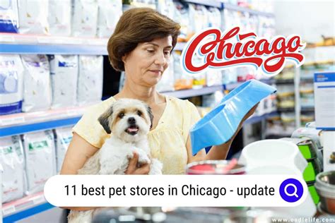 11 Best Pet Stores In Chicago 2025 - OodleLife®