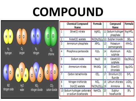 8TH GRADE SCIENCE Chapter 1 Lesson 1 - ppt download 