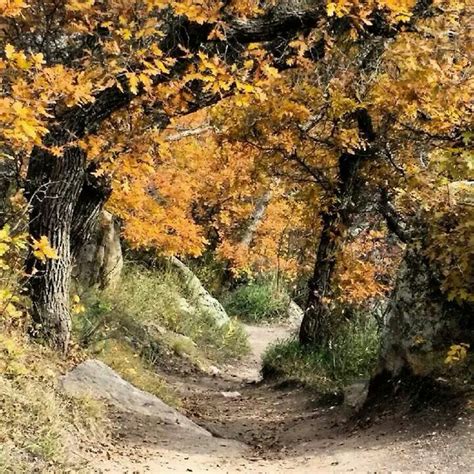 Castlewood Canyon State Park | State parks, Park, Canyon