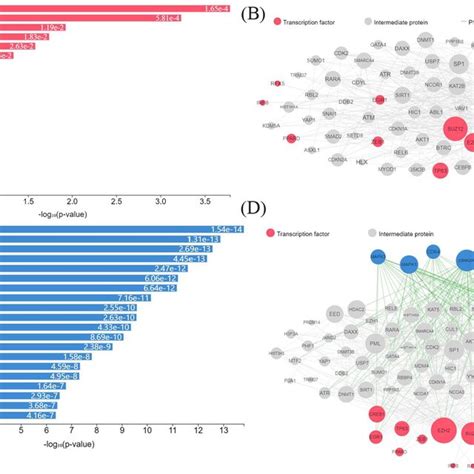 A Construction Protein Protein Interaction Ppi Network Of The