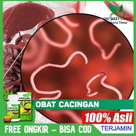 Jual Obat Cacingan Cacing Kremi Cacing Pita Anak Dan Dewasa Keloreena