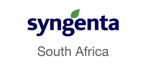 syngenta finance internships  south africa graduates internships