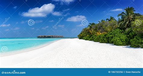 Panorama Of A Tropical Paradise Beach Stock Photo Image Of Coast