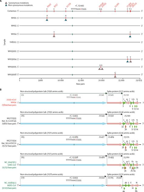 Genomic Characterisation And Epidemiology Of 2019 Novel Coronavirus