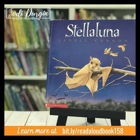 Stellaluna Activities And Lesson Plans For 2024 Teaching With Jodi Durgin And Company